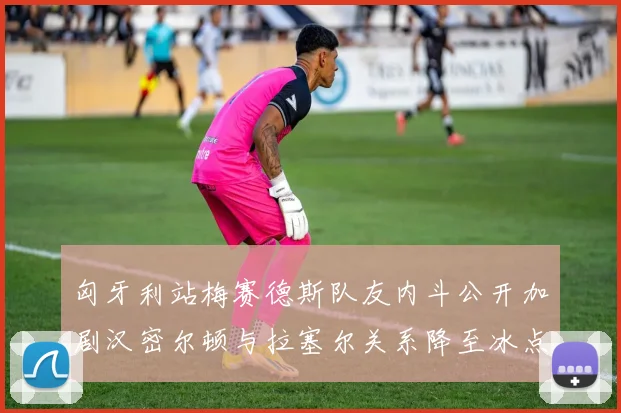 匈牙利站梅赛德斯队友内斗公开加剧汉密尔顿与拉塞尔关系降至冰点
